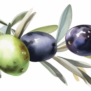 Peut inclure: Une peinture &agrave; l'aquarelle d'une branche d'olivier avec des feuilles vertes et des olives dans des tons de vert, violet et bleu.