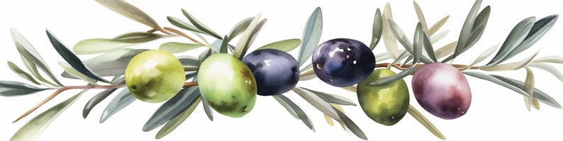 Peut inclure: Une peinture &agrave; l'aquarelle d'une branche d'olivier avec des feuilles vertes et des olives dans des tons de vert, violet et bleu.