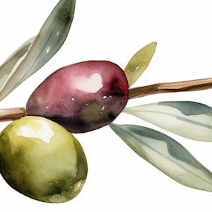 Peut inclure: Une peinture &agrave; l'aquarelle d'une branche d'olivier avec des feuilles vertes et des olives dans des tons de vert, violet et noir.