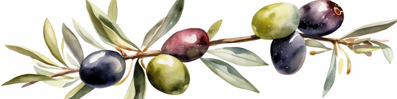 Peut inclure: Une peinture &agrave; l'aquarelle d'une branche d'olivier avec des feuilles vertes et des olives dans des tons de vert, violet et noir.