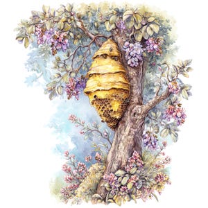 12 aquarel bijenkorf clipart, honingbij clipart, schattige bijenkorf clipart, transparante achtergrond, digitale download png, ongewenste dagboek