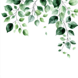 Puede incluir: Ilustración en acuarela de hojas y ramas verdes sobre fondo blanco. Las hojas varían en tonos de verde, de claro a oscuro, algunas translúcidas. Las ramas finas y oscuras crean un tema botánico natural.