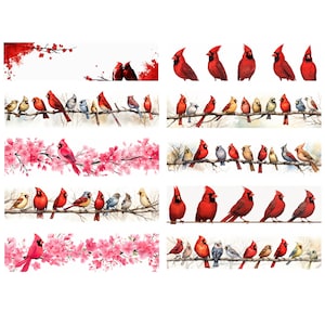 10 PNG Cardinal Bird Clipart Border, Cardinal Clipart de alta resolución, Descarga digital, Cardinal Border Clipart, Uso comercial