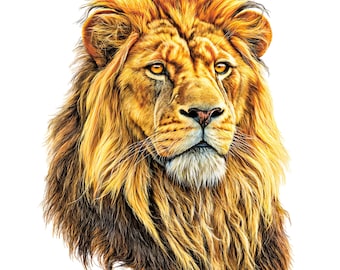 Watercolor Lion Clipart: 12 PNG Images, Transparent Background (Digital Download), Summer Clipart