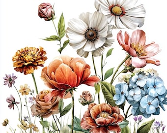 Watercolor Wildflower Clipart: 12 PNG Botanical Floral Illustrations (Digital Download), Summer Clipart