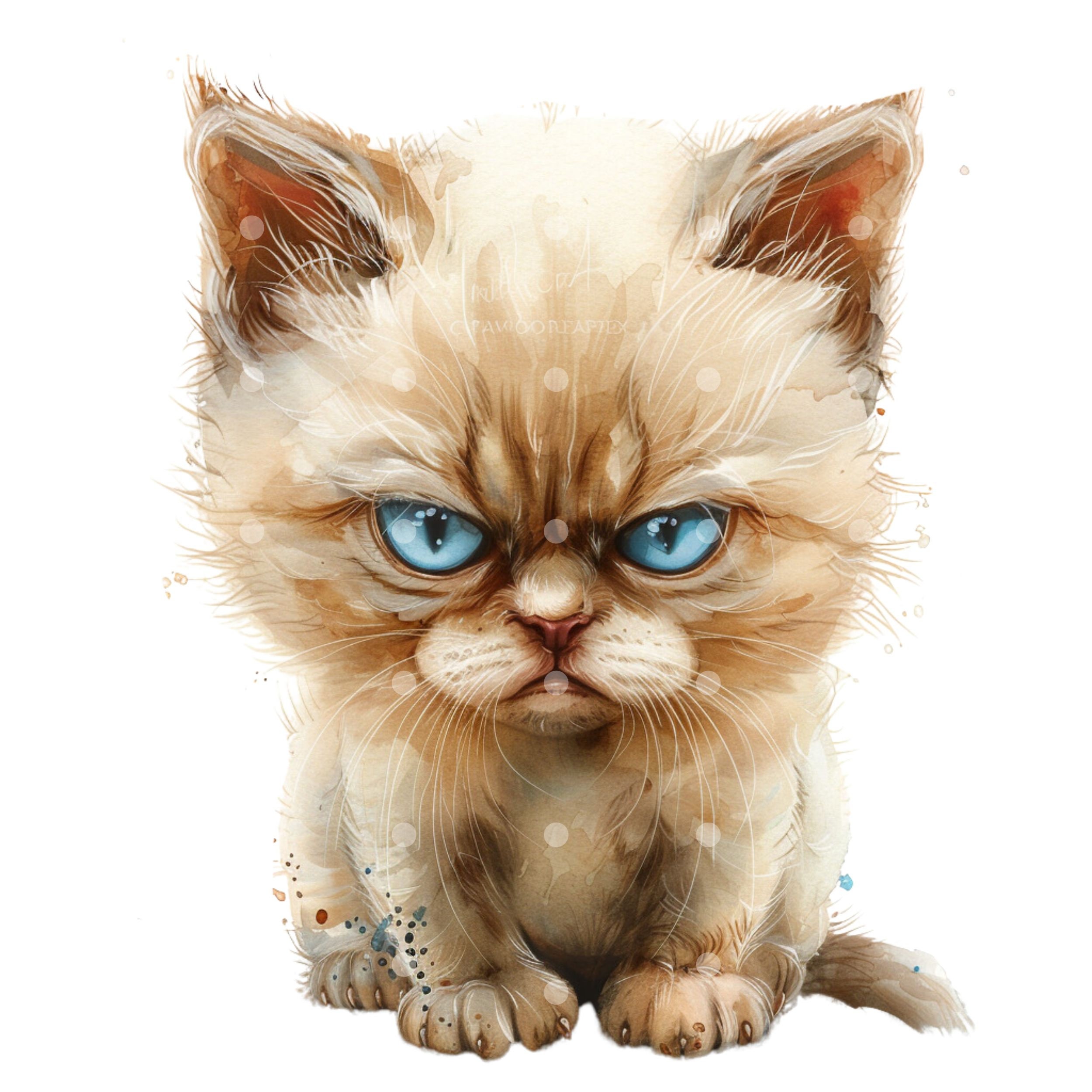 20 PNG Cartoon Grumpy Cat Clipart, Baby Grumpy Cat, Printable ...