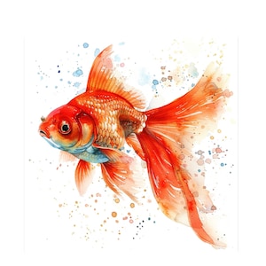 12 Clipart di pesci dorati ad acquerello in formato JPG – Illustrazioni di pesci di alta qualità con tecniche miste per lavori di carta digitale, scrapbooking e inviti