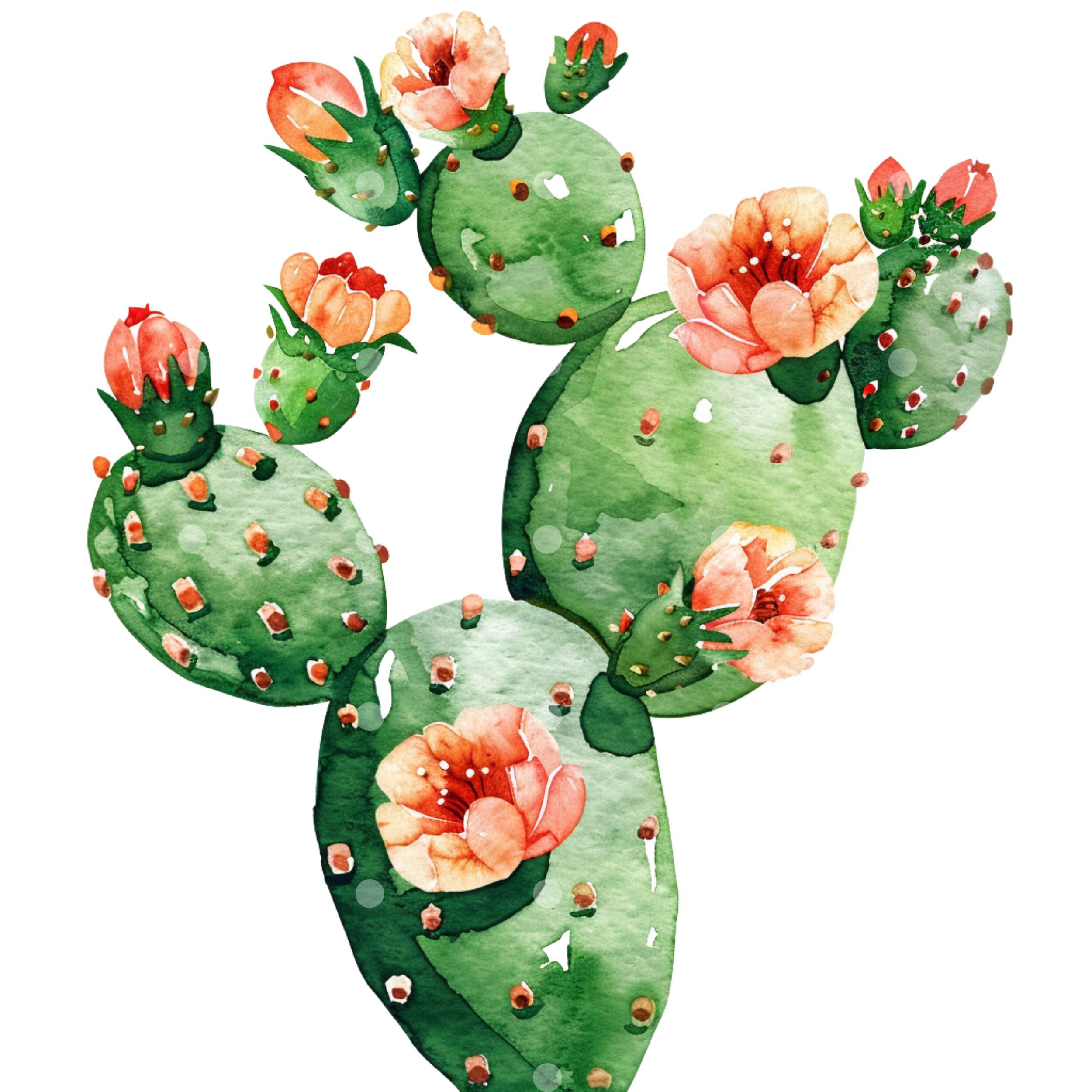 Watercolor Cactus Clipart: PNG Images (digital Download), Spring Clipart -  Etsy