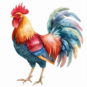 May include: A watercolor painting of a rooster with a red comb and wattle, a blue and green tail, and a red and yellow body.