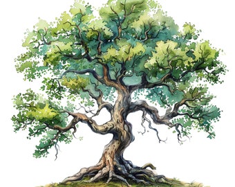 Enchanted Tree Clipart Set: Watercolor Mystic Tree Graphics (PNG Digital Download)