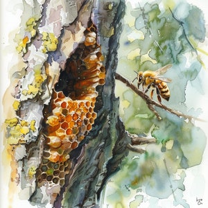 Beehive Watercolor Clipart: Honeycomb & Bee PNG, Commercial Use (Digital Download)