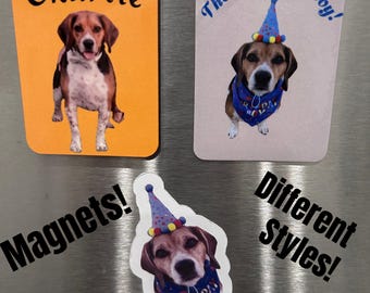 May include: Three magnets featuring a beagle dog. One magnet has the name "Charlie" on an orange background. Another says "The Birthday Boy!" with the dog wearing a party hat and bandana. The third magnet is a die-cut of the dog with a party hat and bandana.