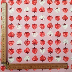 Strawberries Fabric by Ruby Star Society by the metre