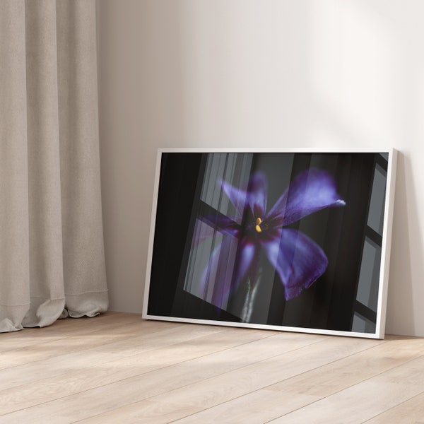 Macro Wall Art, Macro Flower Photography, Flower Acrylic Print, Flower Acrylic Wall Art, Purple Flower, Nature Prints, Nature Wall Art