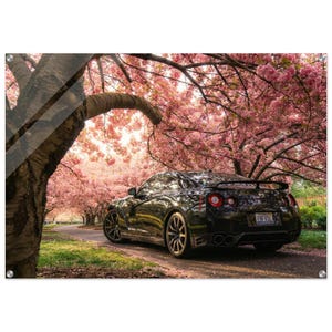 May include: A black sports car is parked on a road lined with blooming pink cherry blossom trees. The car has a spoiler and a license plate that reads "FNFVSL". The scene is bathed in soft sunlight.