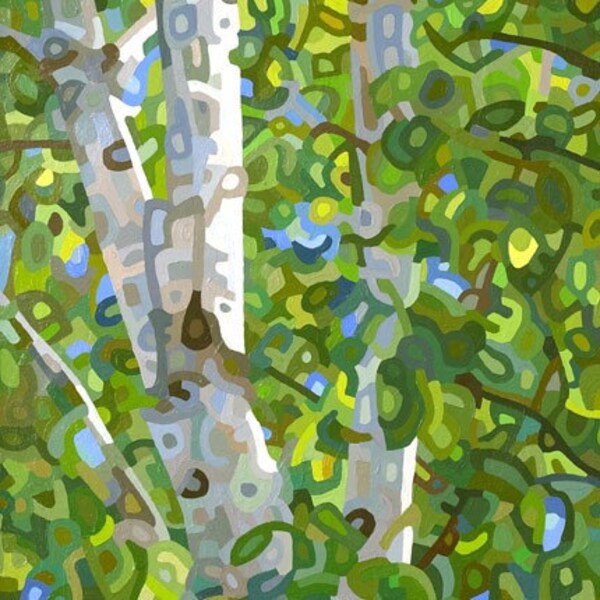 budanART Print - Summer Birches