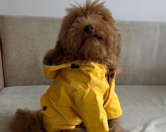 Rain Coat for Dogs, Dog Summer Clothing, Funny Dog Clothes, Cat Clothes, Funny Clothes for Pets, Cute Dog Clothes, Yellow Dog Coat