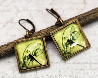 Green Dragonfly Earrings, Glass Photo Art, Boho Jewelry, Nature Lover Gift