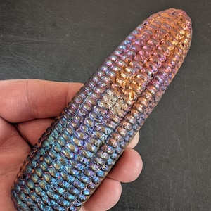 May include: A decorative object shaped like an ear of corn with a metallic, iridescent finish. The surface features a textured, kernel-like pattern with shifting colors of deep blue, purple, and copper-orange across the entire length of the cob.