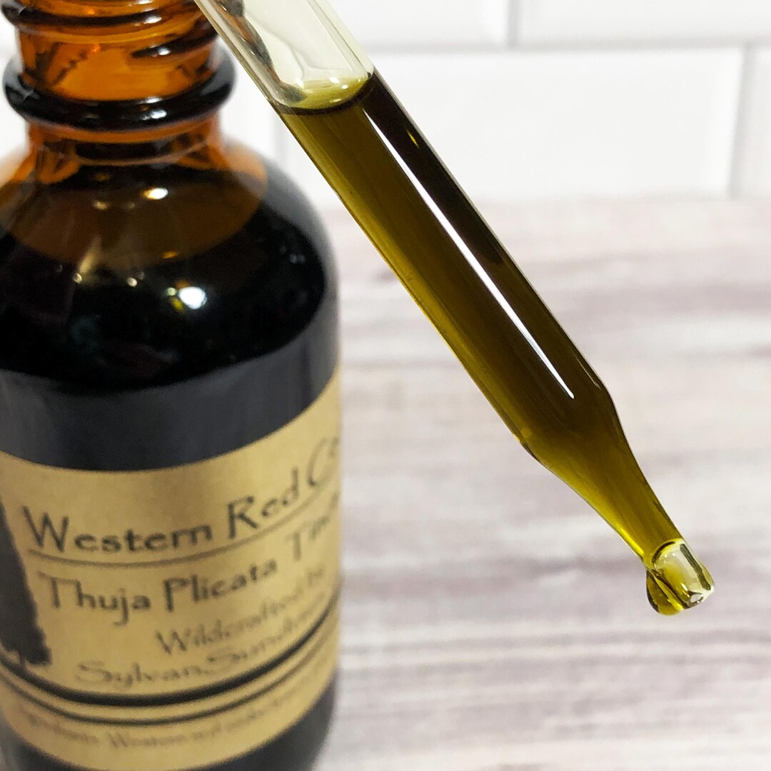 Western Redcedar Tincture, Thuja Plicata, Tree of Life, Respiratory,  Kidneys, Urinary Tract, Warts - Etsy
