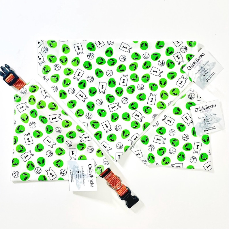 May include: White dog bandanas and collars with a repeating pattern of green alien heads, basketballs, and the number 1. The collars are orange and black. The bandanas have the text "Chick Rocks" on the tags.