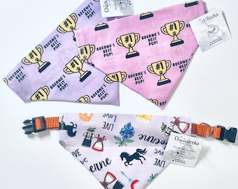 Pet Bandana - City of Boerne Texas, Boerne's Best Pup, Hill Country, Over the Collar Dog Cat Scarf, Chargers, Champions, Greyhounds