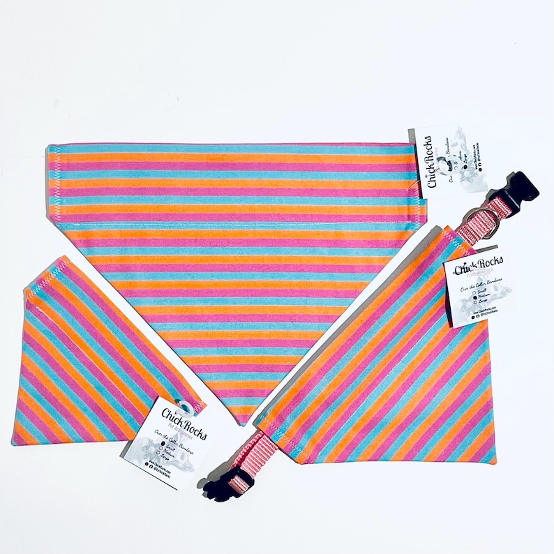 May include: A set of dog accessories, including a bandana and collar, featuring a vibrant striped pattern in pink, orange, and turquoise. The collar has a pink strap and a black buckle. The accessories are displayed on a white background.