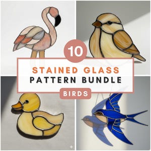 Bird Stained Glass Pattern Bundle Modern Suncatcher Templates PDF Beginner Friendly Glass Art Design Beginner Animals Stained Glass Bundle
