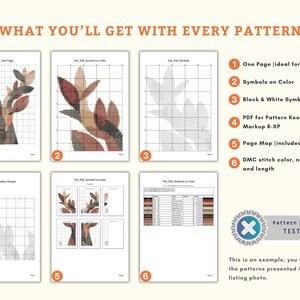 May include: An image showcasing the contents of a cross-stitch pattern purchase. The image includes examples of the pattern in color and black and white, a page map, and DMC color information. Text reads "WHAT YOU'LL GET WITH EVERY PATTERN."