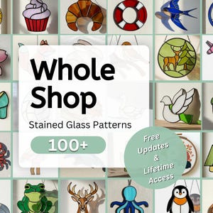 Paquete completo de patrones de vidrieras, plantilla para atrapasoles DIY, patrón fácil, circo botánico, Pascua, apto para principiantes, arte moderno en vidrio.