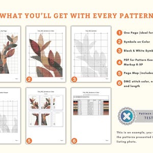 May include: An image detailing the contents of a cross-stitch pattern. It shows examples of the pattern in colour and black and white, a page map, and DMC colour information. Text reads "WHAT YOU'LL GET WITH EVERY PATTERN."