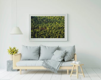 Poster Green Forest Photo Wall Art Green Trees Digital Prints Living room Wall Decor Landscape Green Nature Photography Traveler Gift