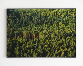 Poster photo de la forêt verte : oeuvre d'art murale paysage nature (téléchargement numérique)