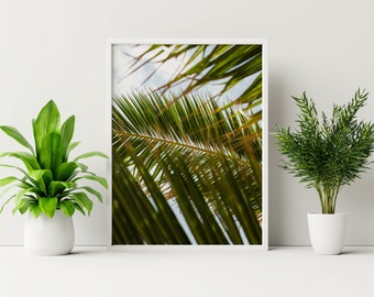 Poster Palm Tree Leaves Photo Wall Art Palm Tree Digital Prints Livingroom Wall Decor Tropical Photography