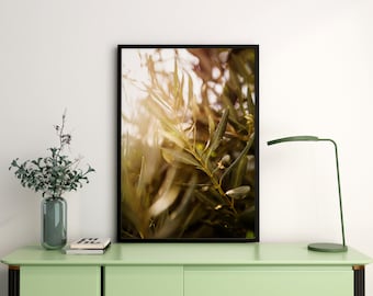 Poster Green Olive Leaves Photo Wall Art Digital Prints Livingroom Wall Decor Nature Plant Photography