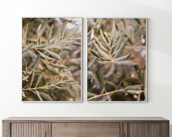 Olive Branch Print Set: Mediterranean Green Botanical Wall Art (Digital Download)