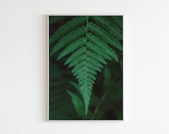 Stampa fotografica di foglie di felce verde: arte murale botanica color smeraldo (download digitale)
