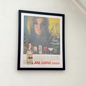 Jose Cuervo Especial テキーラ　アート作品　自作 il_1080xN.5551273775_kqmt.jpg