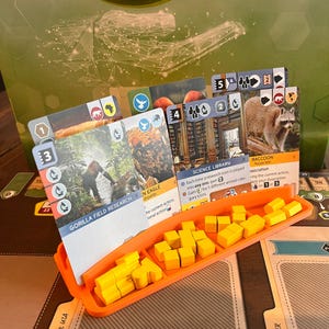 Card Holder with personal resource tray. Ideal for most modern boardgames