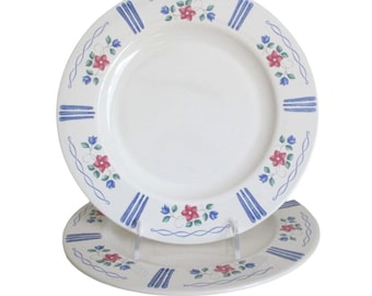 2 Vintage Pfaltzgraff Bonnie Brae Dinner Plates Replacement 1990s Dinnerware
