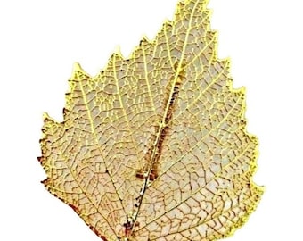 Vintage Leaf Dipped in Gold Brooch Pin Preserved Nature's Jewelry