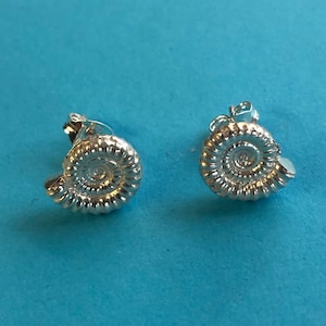 Ammonite fossil stud earrings handmade Sterling Silver Mr Beaujangles