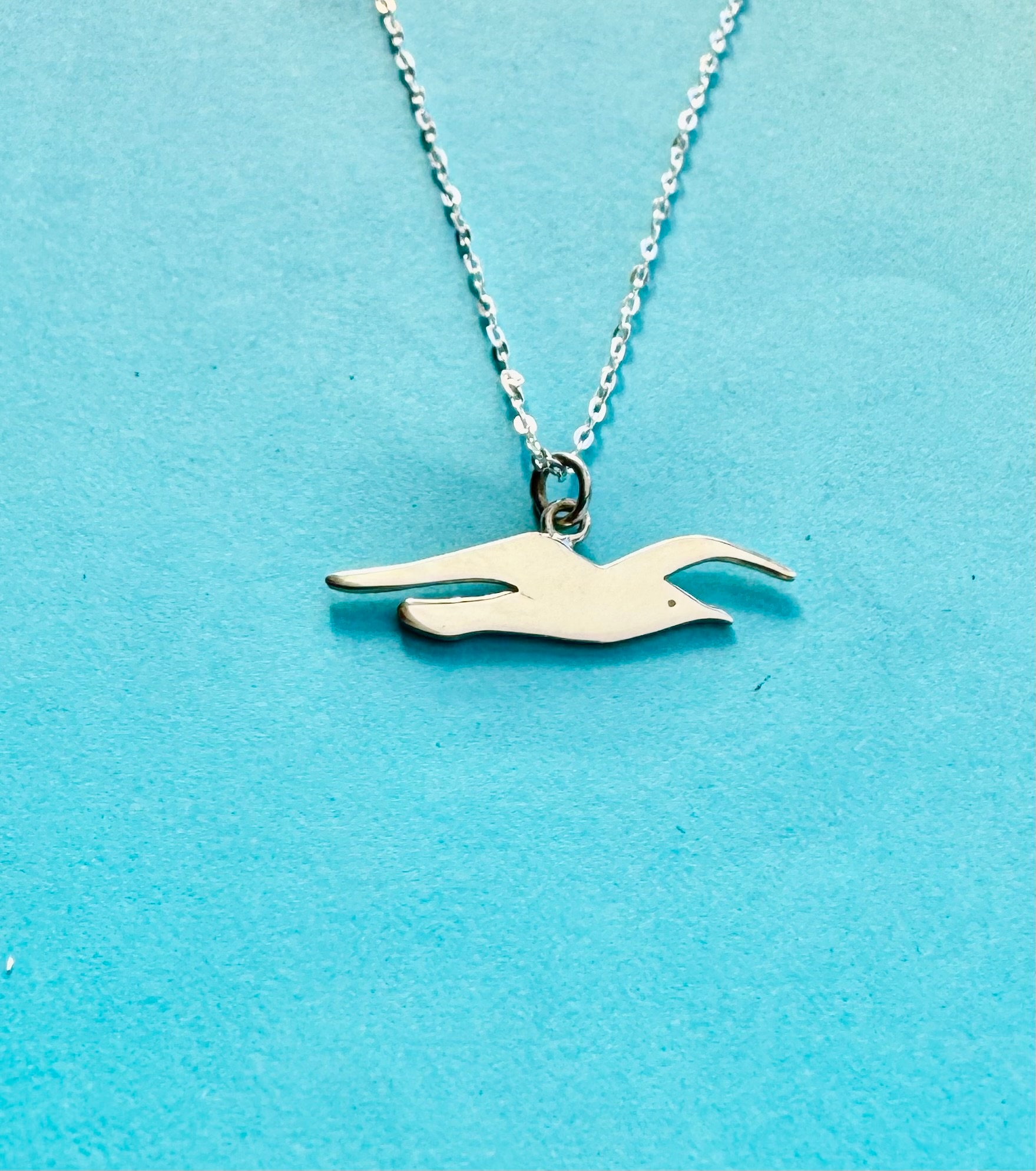 Brighton and hove Albion seagull  pendant and chain  handmade Sterling silver Mr Beaujangles
