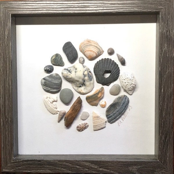 Coastal Seashell Shadowbox Wall Decor, Seashell Framed Art