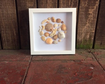 Coastal Seashell Shadowbox Wall Decor, Seashell Framed Art