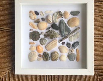 Coastal Seashell Shadowbox Wall Decor, Seashell Framed Art