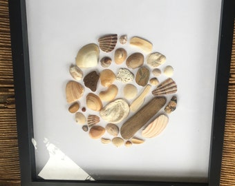 Coastal Seashell Shadowbox Art, Framed Seashell Beach Art