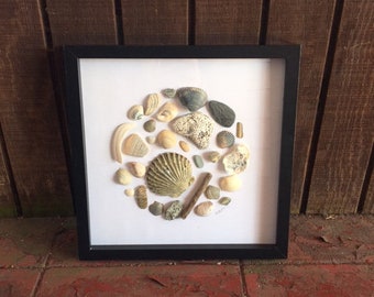 Coastal Seashell Shadowbox Art, Framed Seashell Beach Art