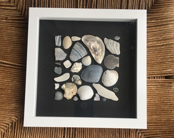 Coastal Seashell Shadowbox Art, Framed Seashell Beach Art