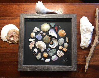 Coastal Seashell Shadowbox Art, Framed Seashell Beach Art